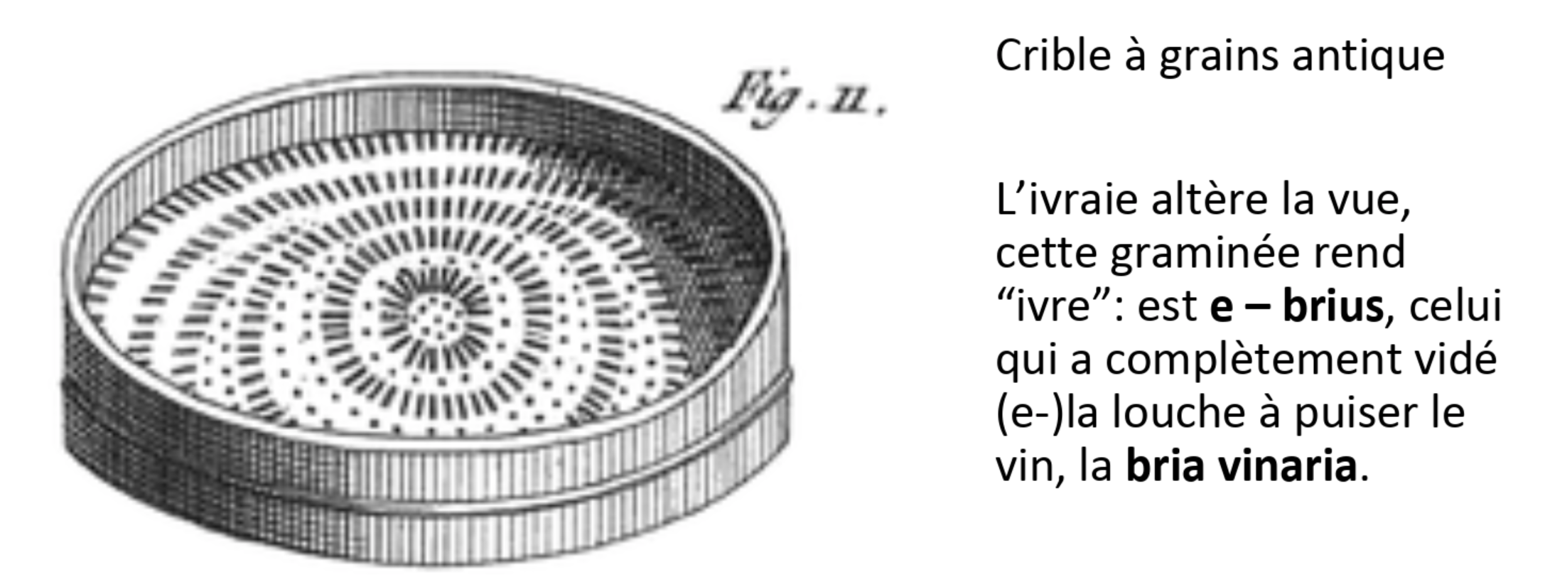 La notion de « CRISE », de la philologie à la philosophie Odysseum